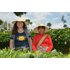 camellia_sinensis.jpg | © SONNENTOR