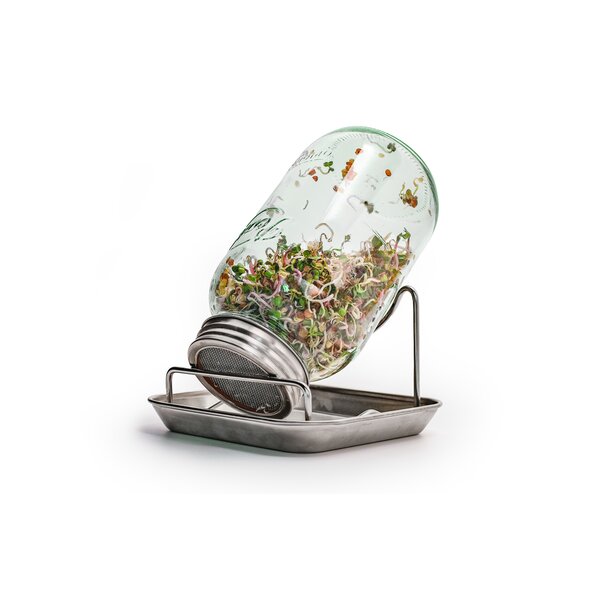 01289_Sprossenglas Set 16.jpg